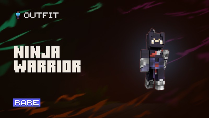 Ninja Warrior