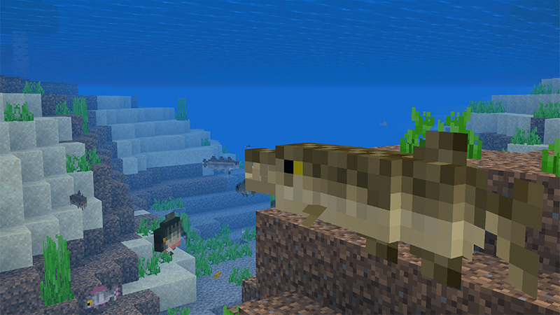 Fishing + Add-On 2.0 by MobBlocks