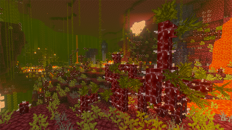 Biomes O' Plenty by 4KS Studios