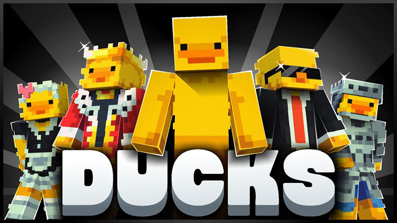 Ducks