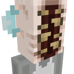 Ancient Warden Head