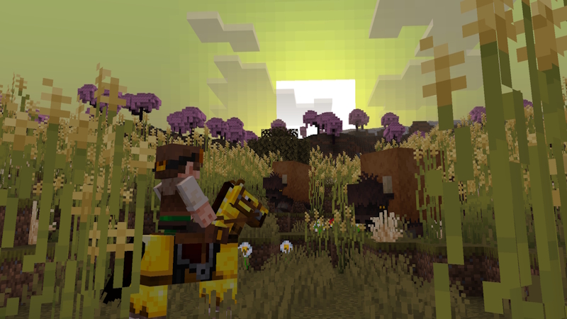 Biomes Expanded by Levelatics